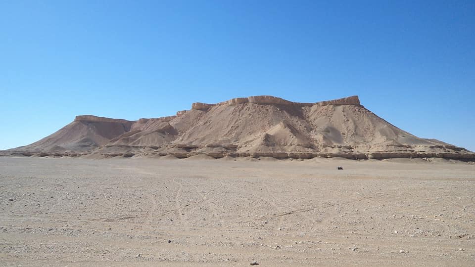 تعود لأكثر من 70 ميلون عام..اكتشاف عظام أكبر سلحفاة بحرية في مصر