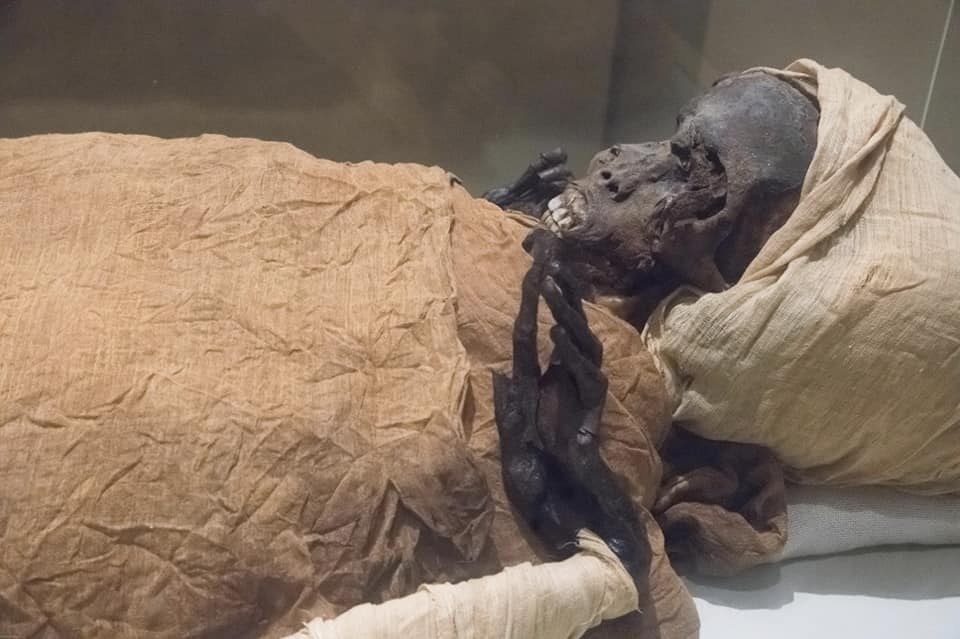 مات دفاعاً عن مصر..الأشعة المقطعية تكشف لغز وفاة الفرعون "الشجاع"