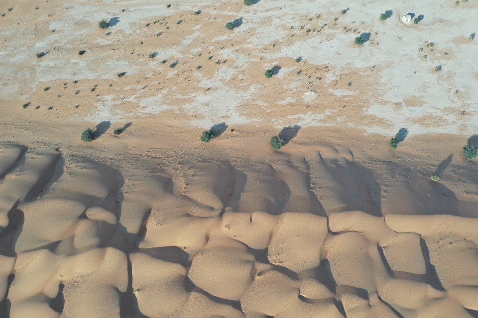 مصوّر يوثق "سمكة الرمال" في سلطنة عمان