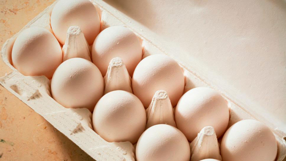 دراسة جديدة: بيضة في اليوم تبعد عنك أمراض القلب