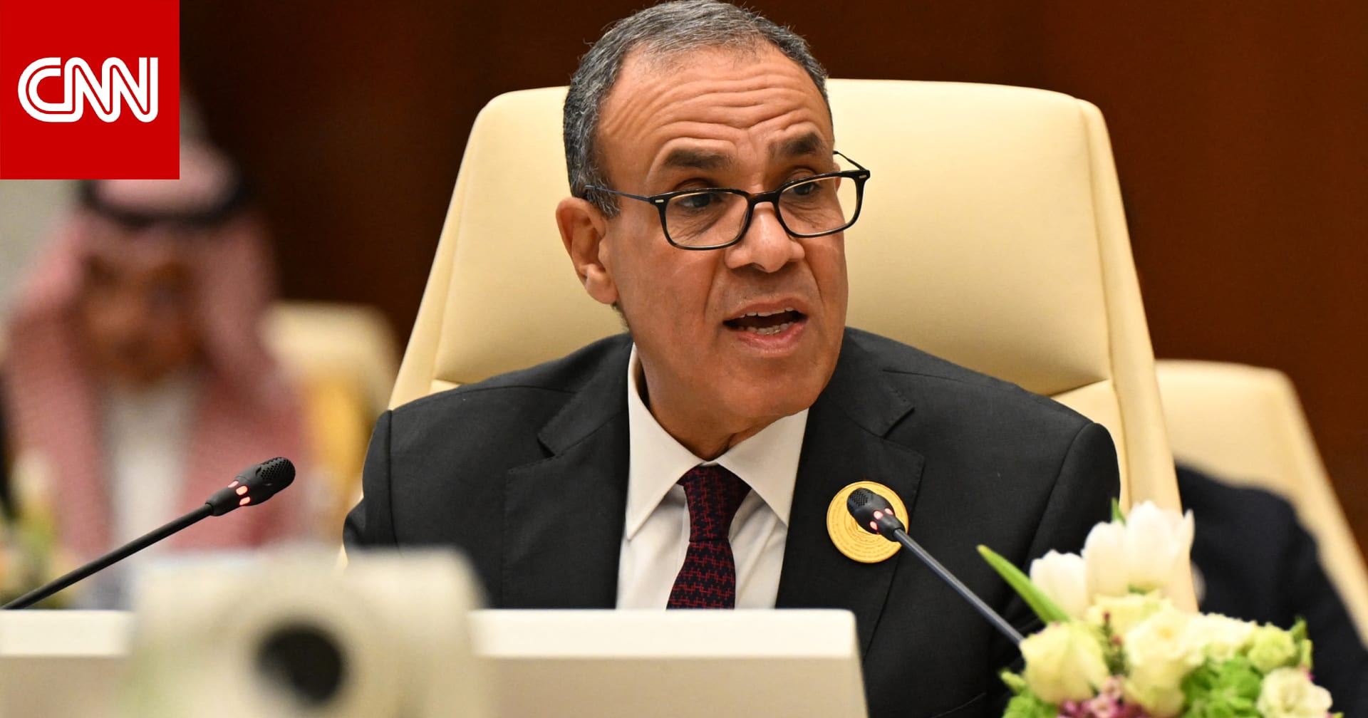 مصر.. وزير الخارجية يطلع المبعوث الأمريكي على الخطة العربية بشأن غزة