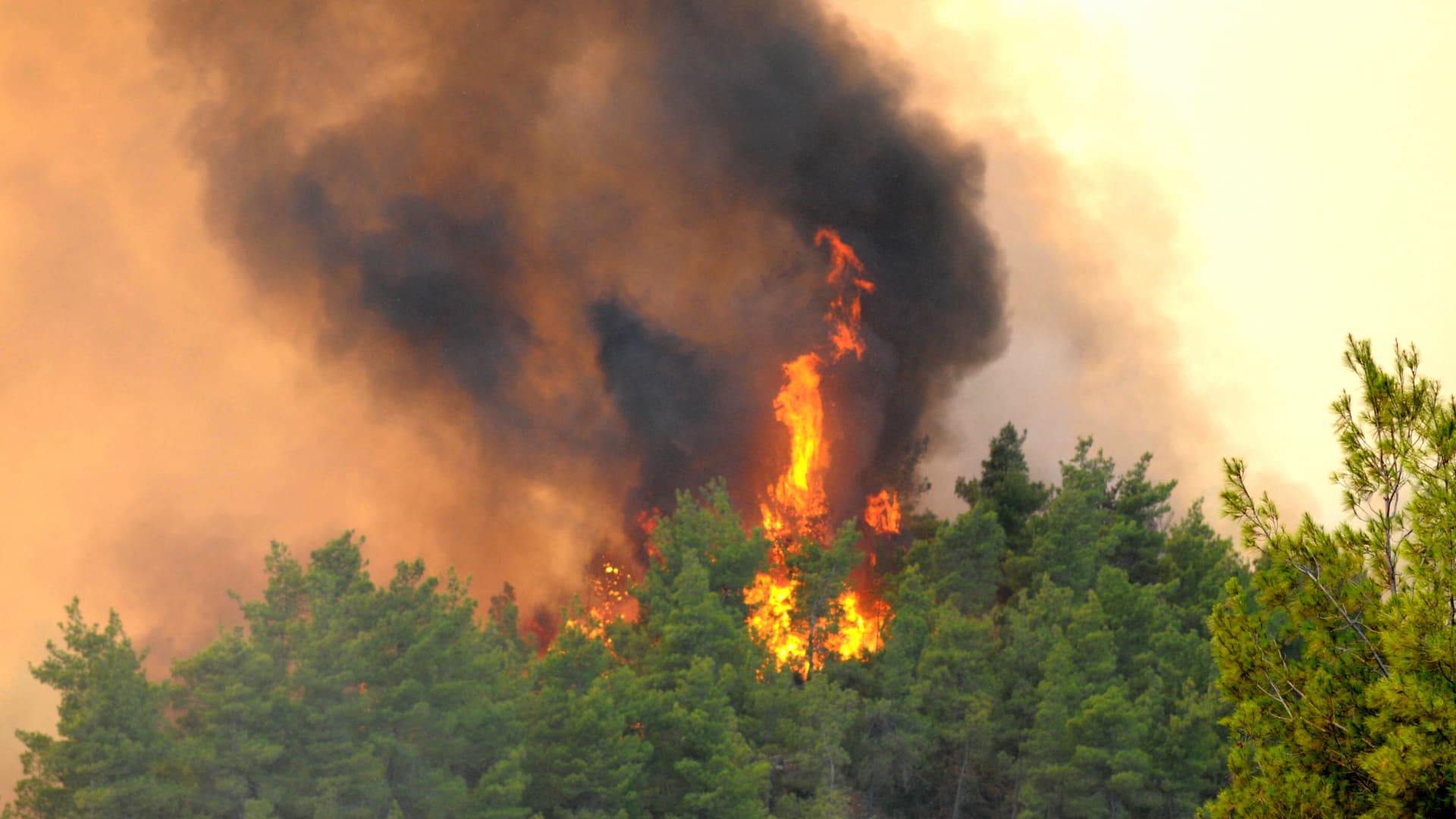 شاهد.. لحظة اندلاع حرائق هائلة في الغابات جنوب تركيا