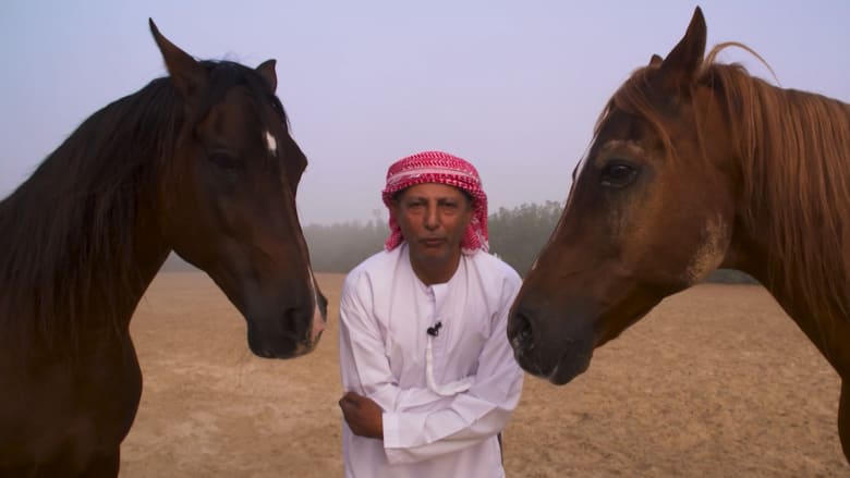 تعرّف إلى "أستاذ الخيول" في أبوظبي.. هكذا يسيطر عليها حتى من مسافة بعيدة