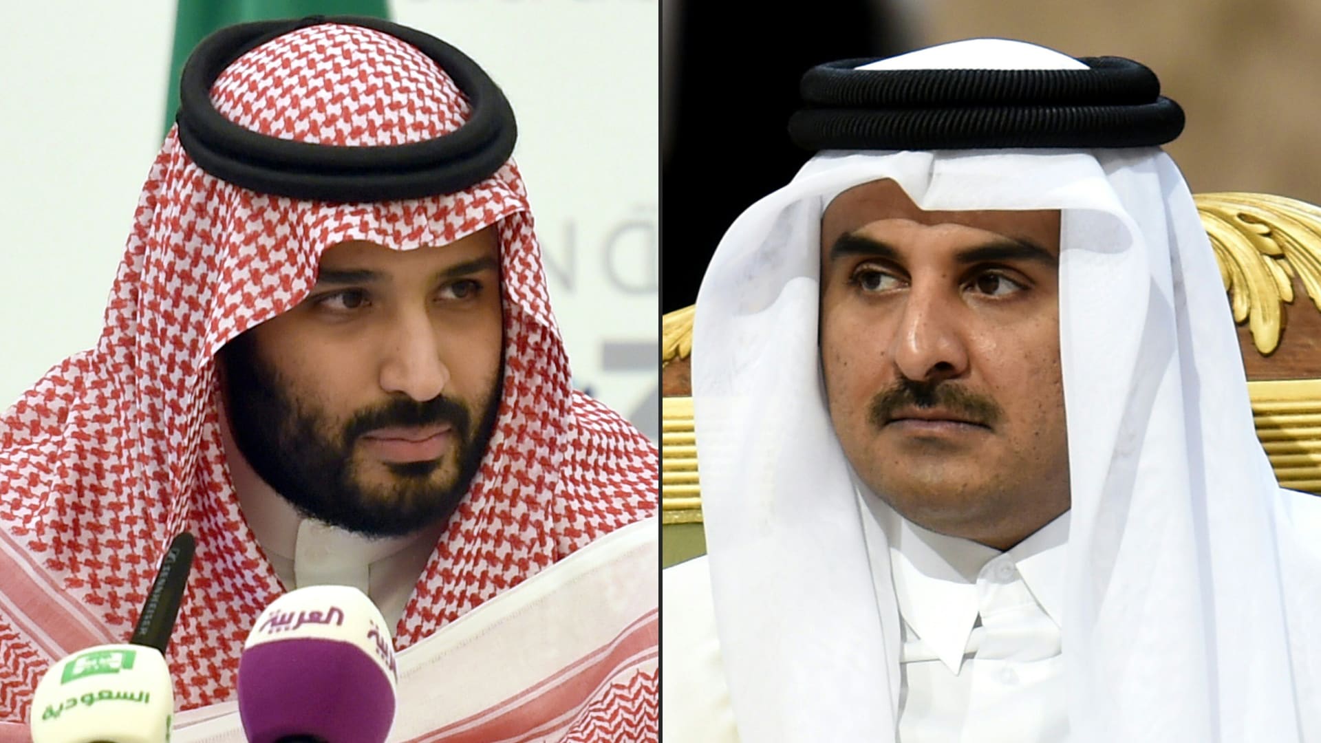 أمير قطر (يمين) وولي عهد السعودية (يسار)