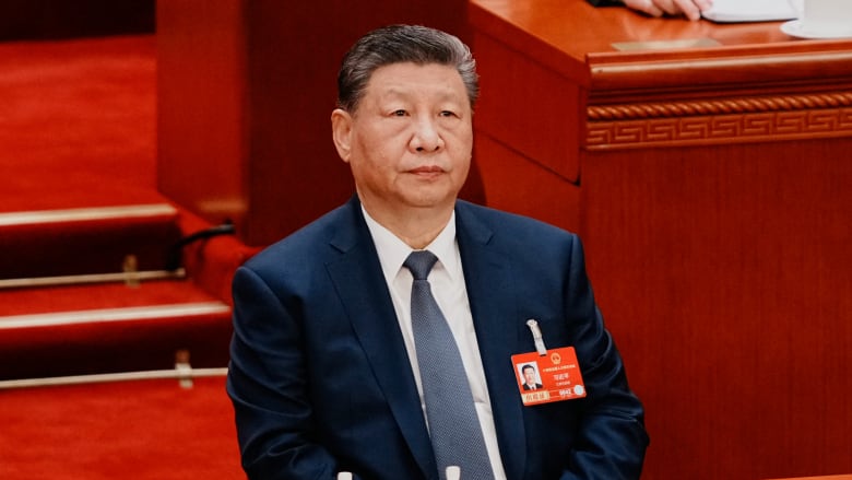 خلال زيارة نادرة لزعيمة المعارضة التايوانية.. هذا ما قاله رئيس الصين