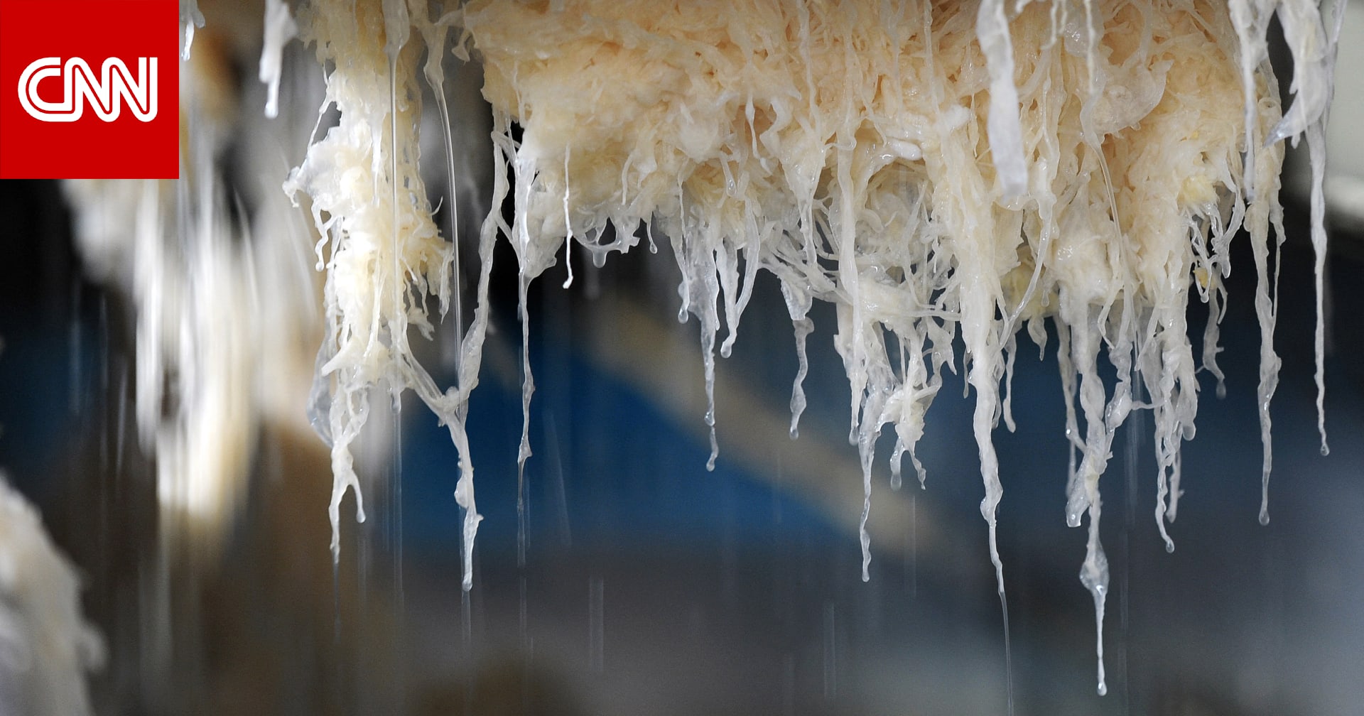 مخلّل الملفوف..لماذا يجب أن تُضيف هذا النوع من الطعام لنظامك الغذائي؟ 