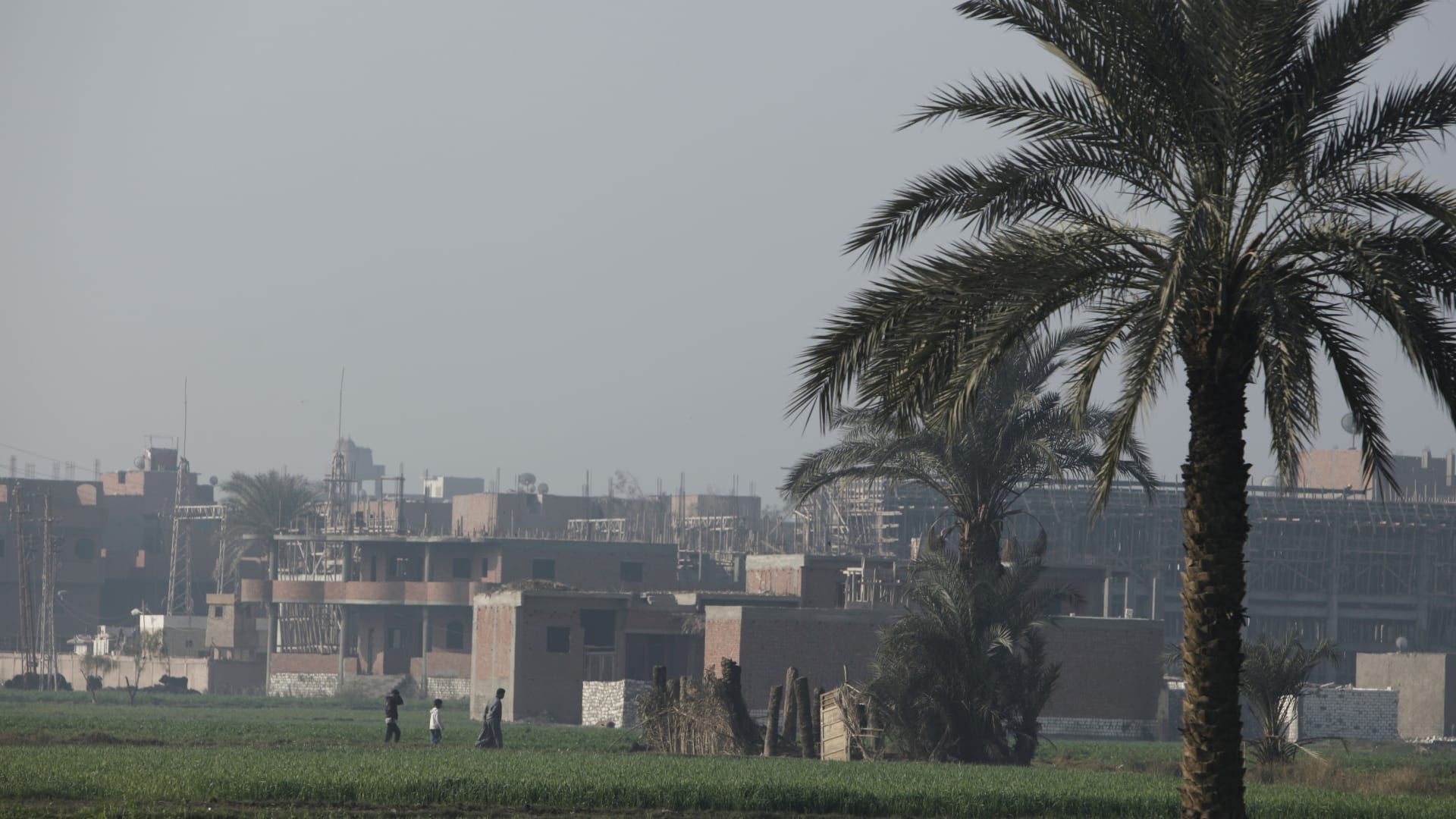 مصر: البحث مستمر عن "تمساح الشرقية".. وشيخ الصيادين يوضح لـCNN طبيعة المهمة