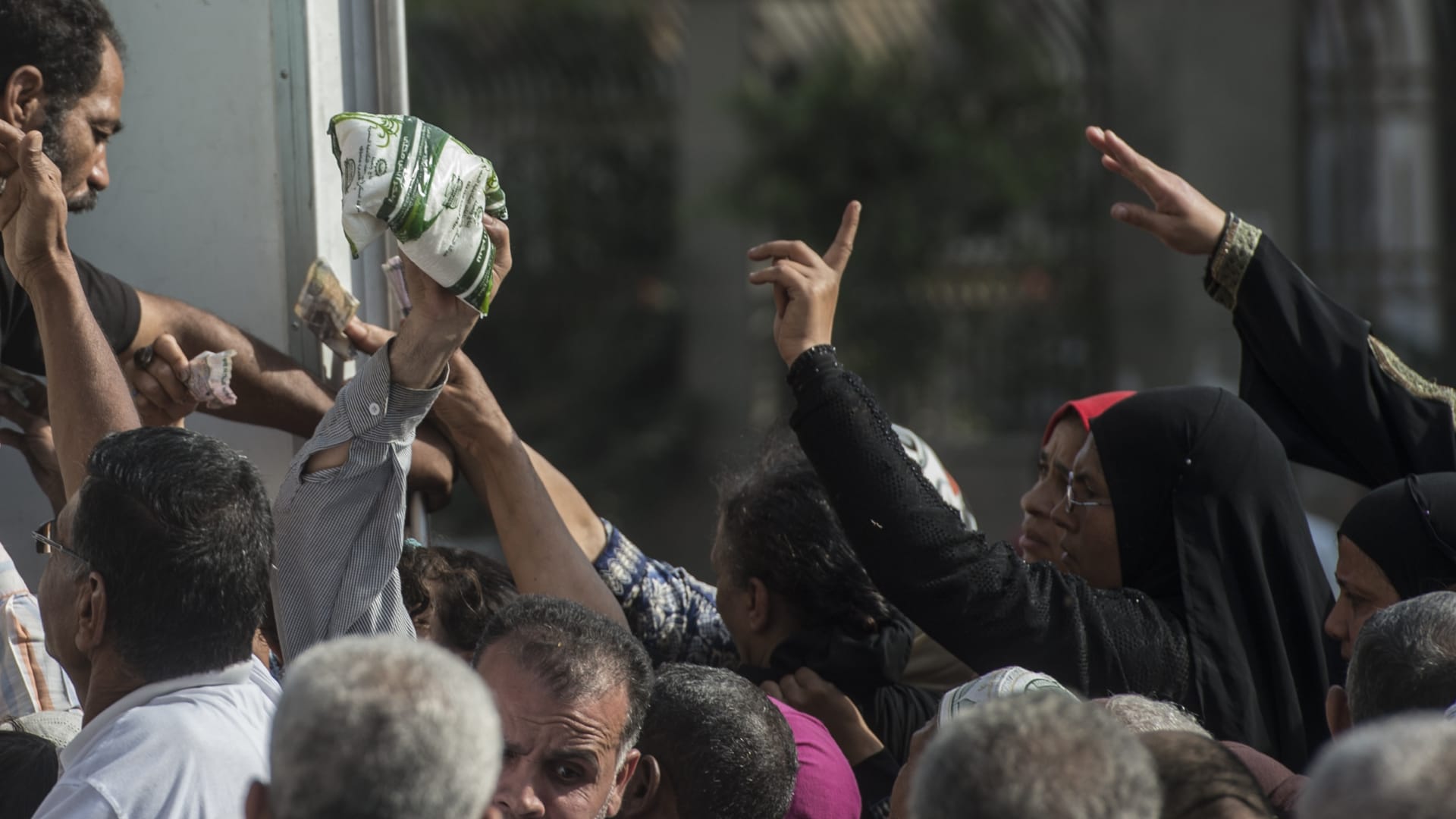 بعد توقف دام 3 سنوات.. الحكومة المصرية تسمح بعودة تصدير السكر