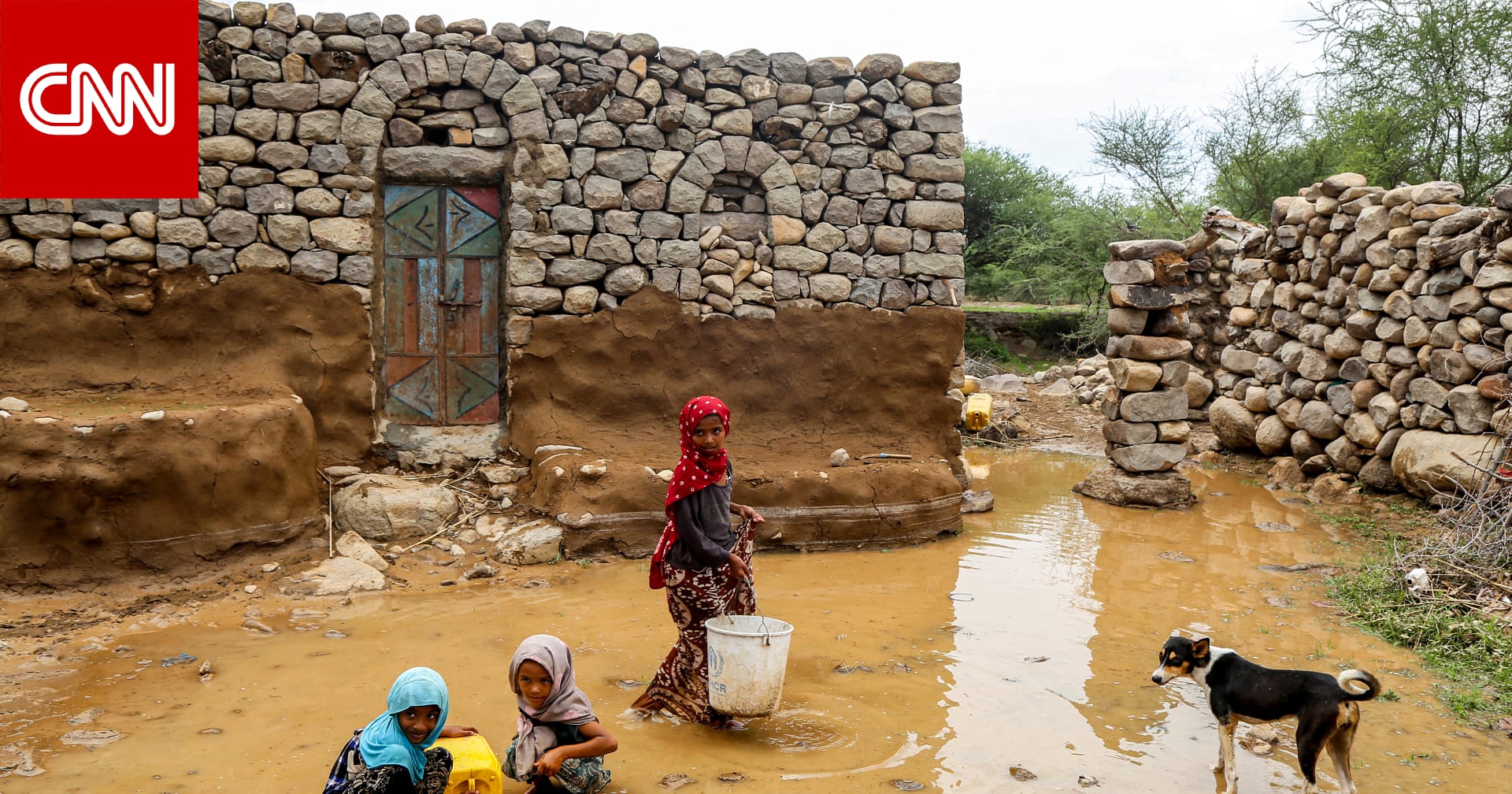 فيضانات اليمن.. الأمم المتحدة تعلن حصيلة للخسائر البشرية والمادية