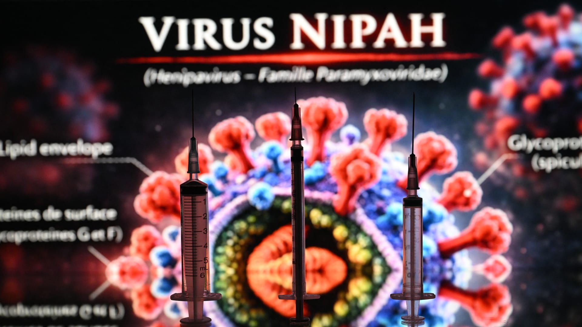 فيروس "نيباه".. ما علاقته بالخفافيش وما مدى خطورته على البشر؟