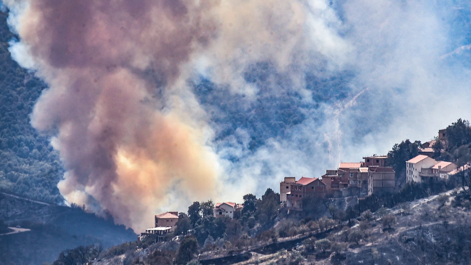 الجزائر تكافح النيران.. وعلماء يحذرون من تحول منطقة البحر المتوسط إلى بؤرة حرائق غابات