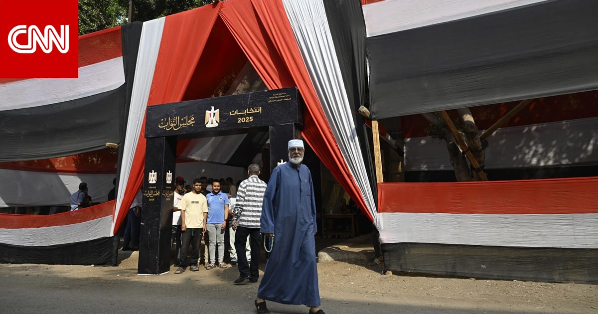 إلغاء انتخابات 19 دائرة لمجلس النواب في مصر.. ماذا قال سياسيون عن القرار؟