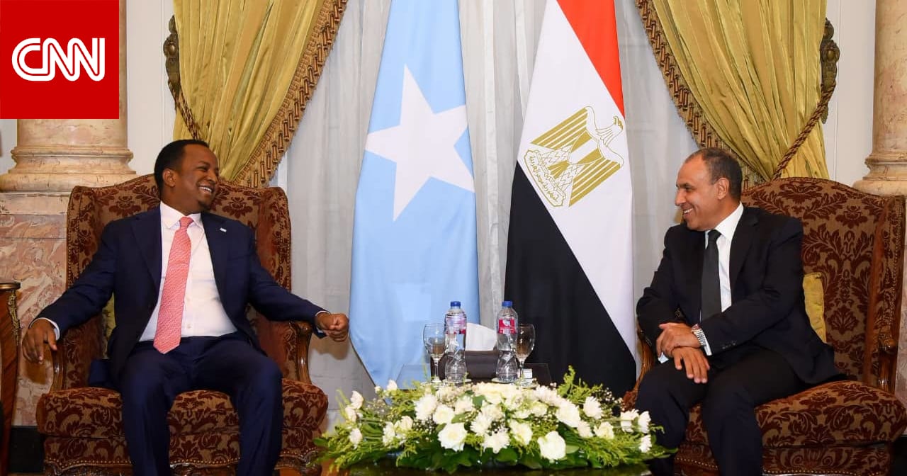 تصريح جديد لوزير خارجية مصر عن أزمة البحارة المختطفين بالصومال.. ماذا قال؟
