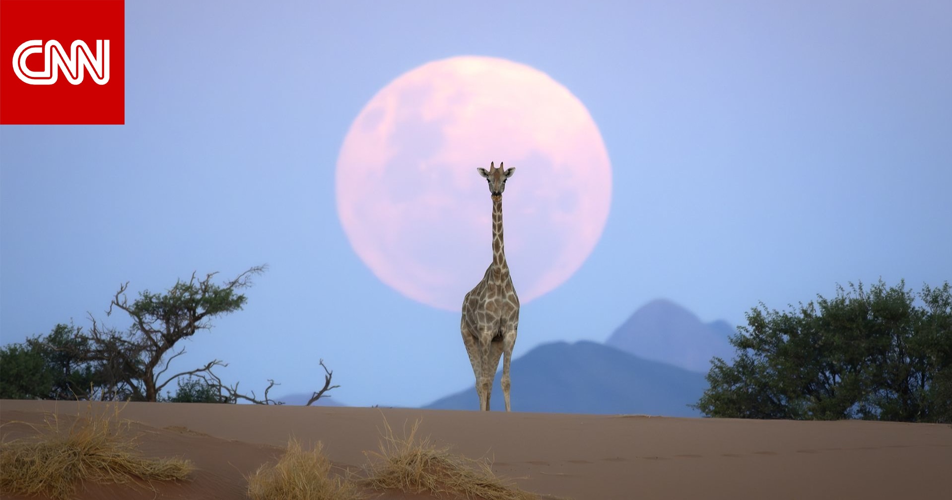 لن تصدق أنها حقيقية.. صور مذهلة تكشف جمال طبيعة جنوب إفريقيا 