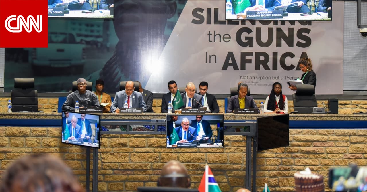 مصر.. وزير الخارجية: رسمنا "خطوطا حمراء" بشأن السودان وندين مساعي الميليشيات لتقسيمه