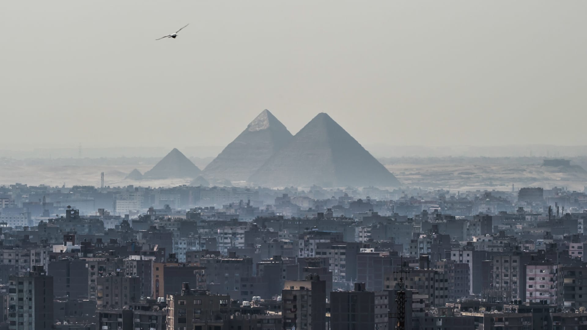 مصر تستعد لإصدار سندات "الساموراي".. وخبراء يوضحون الأهداف