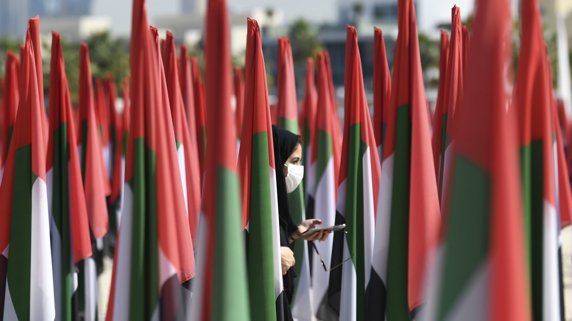 صورة تعبيرية لفتاة تسير بين أعلام الإمارات 