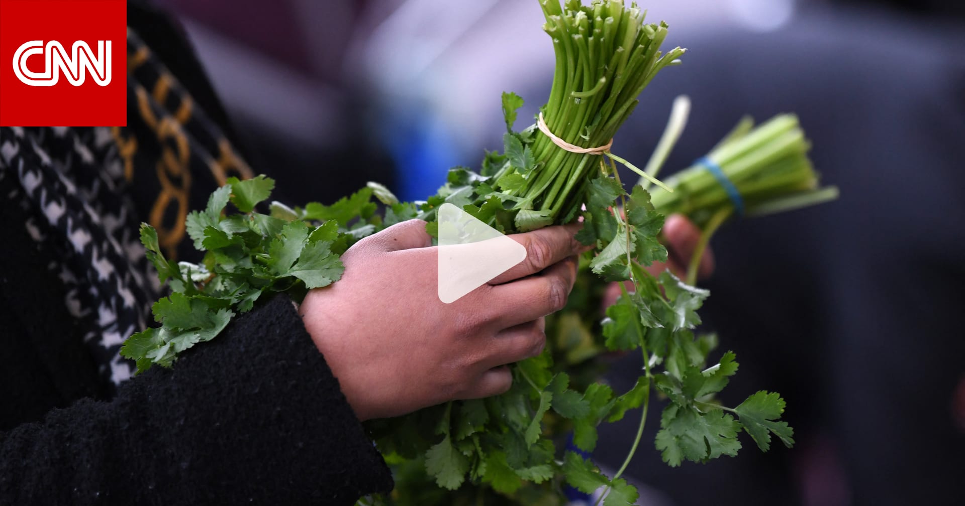 من بينها الزعتر والكزبرة.. لماذا قد تُنقذ هذه الأعشاب حياتك؟ 