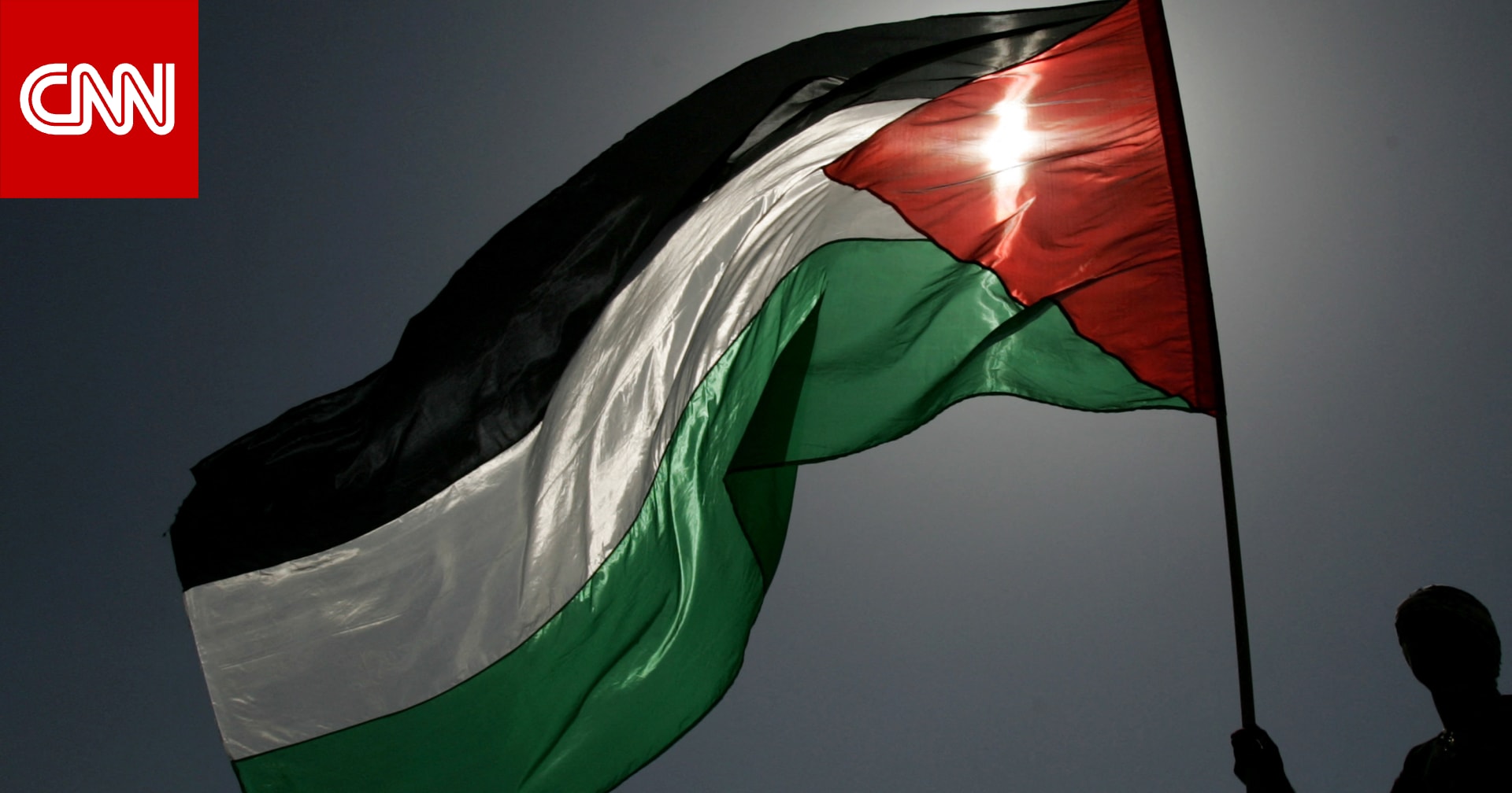 بيان سعودي بعد اعتراف 4 بلدان بـ"دولة فلسطينية"