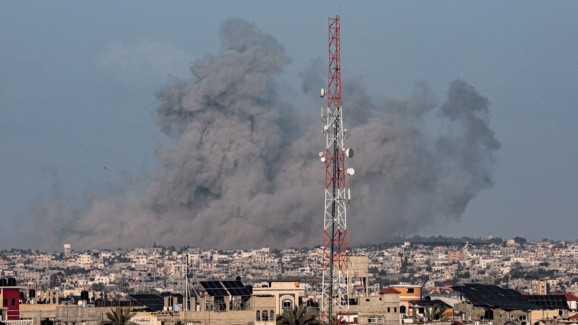 سيناتور أمريكي عن حال غزة: "الوضع الطبي مروع دون مبرر.. وقتل الأبرياء يجب أن يتوقف"