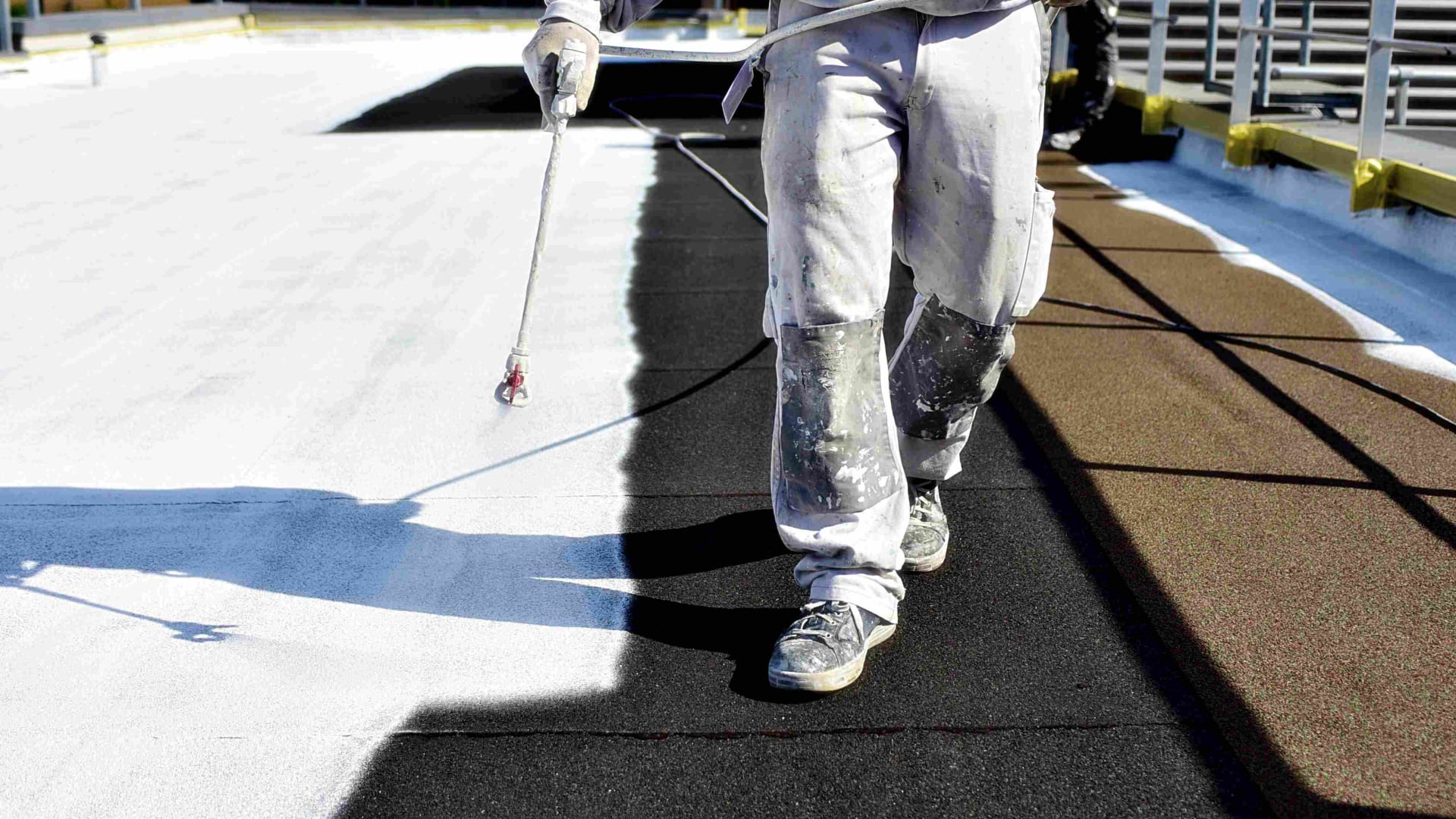 في فرنسا.. شركة تستخدم أطنانًا من أصداف المحار لصنع الطلاء