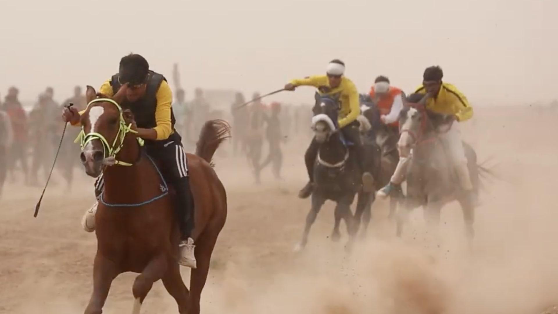 مسابقة للخيول العربية الأصيلة بمشاركة 125 جوادا في القامشلي