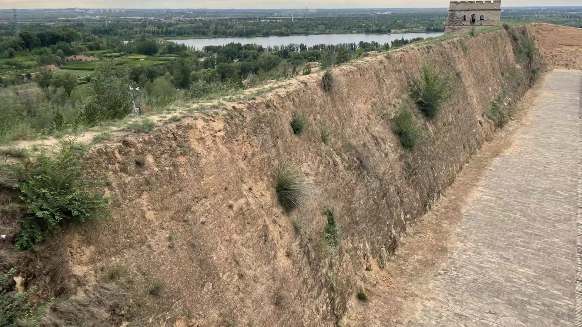 "جلد حي" يحمي سور الصين العظيم.. ماذا يقصد العلماء بهذا المصطلح؟