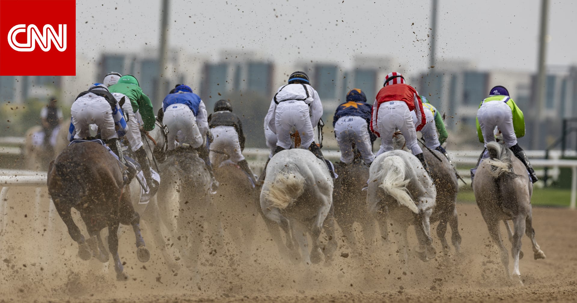 انطلاق كأس دبي العالمي للخيول 2026.. إليك الفائزين في الأشواط الخمسة الأولى