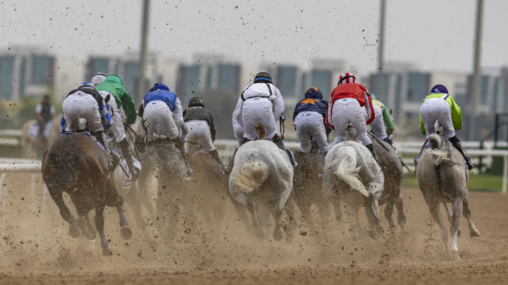 انطلاق كأس دبي العالمي للخيول 2026.. إليك الفائزين في الأشواط الخمسة الأولى