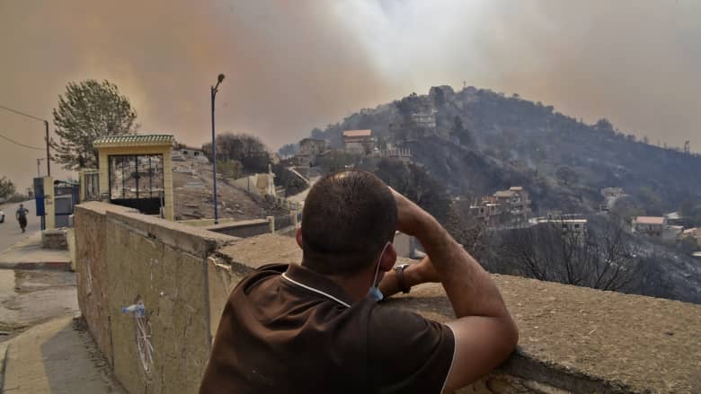 مقتل 4 أشخاص وإصابة 3 أخرون إثر حرائق غابات في الجزائر