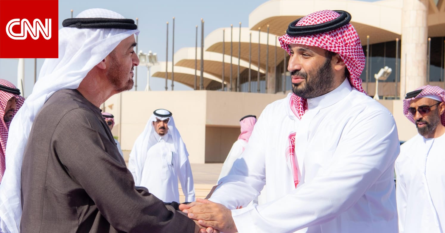 "تجانس بالأفكار والمواقف".. قرقاش يُعلّق على لقاء محمد بن زايد ومحمد بن سلمان