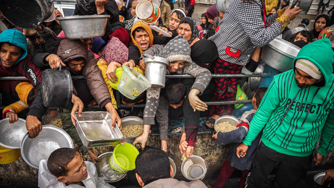 "نحن نموت ببطء".. فلسطينيون يأكلون العشب ويشربون المياه الملوثة مع اقتراب المجاعة من جميع أنحاء غزة