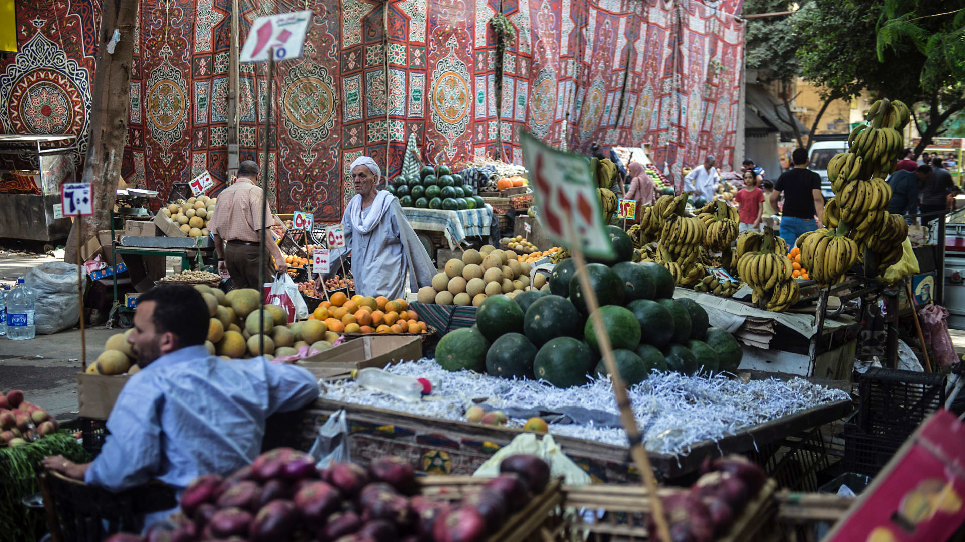 الحكومة المصرية تطلق مبادرة لـ"خفض أسعار السلع لمدة 6 أشهر".. ما التفاصيل؟
