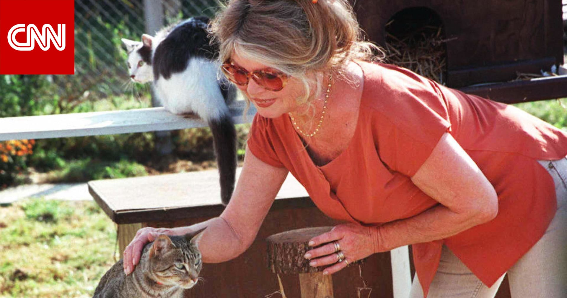 "أسطورة القرن".. وفاة بريجيت باردو نجمة الإغراء الفرنسية والمدافعة الشرسة عن حقوق الحيوان