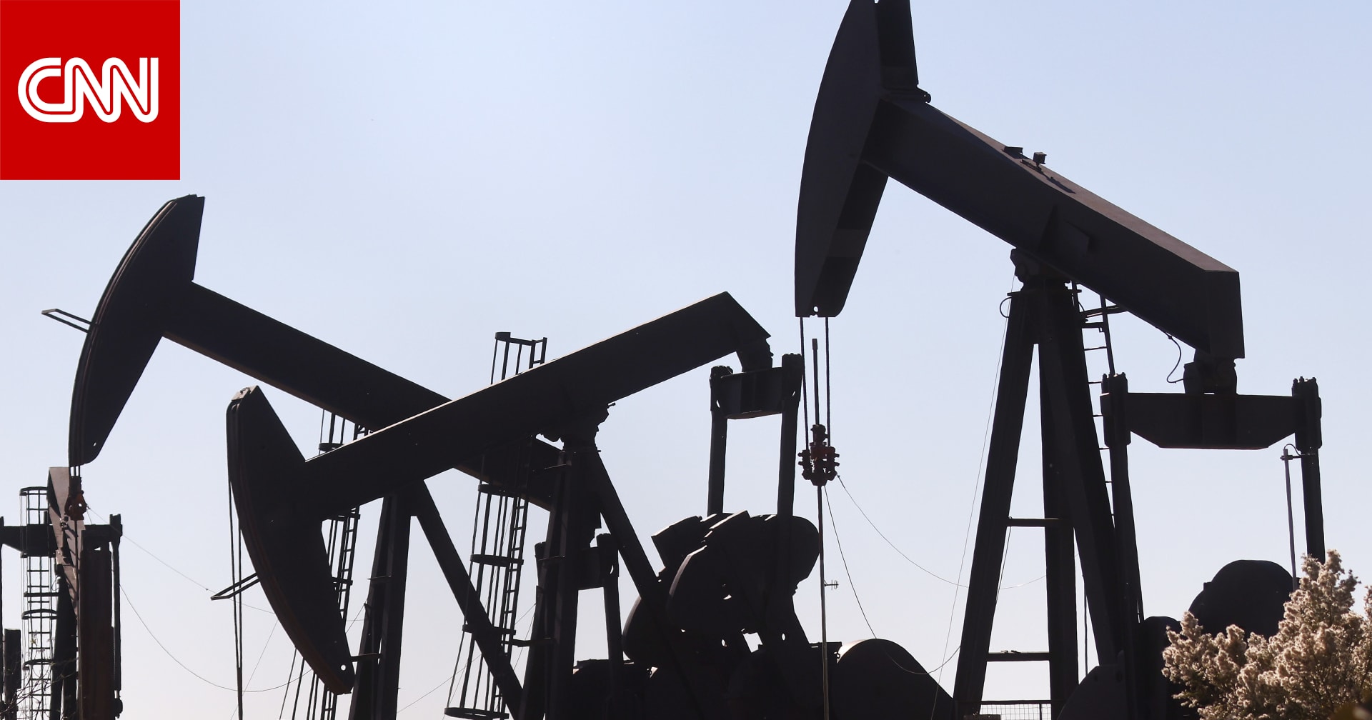 أمير سعودي يغرد عن سبب تراجع سعر النفط: ليس بسبب لجوء بايدن للمخزون الاحتياطي