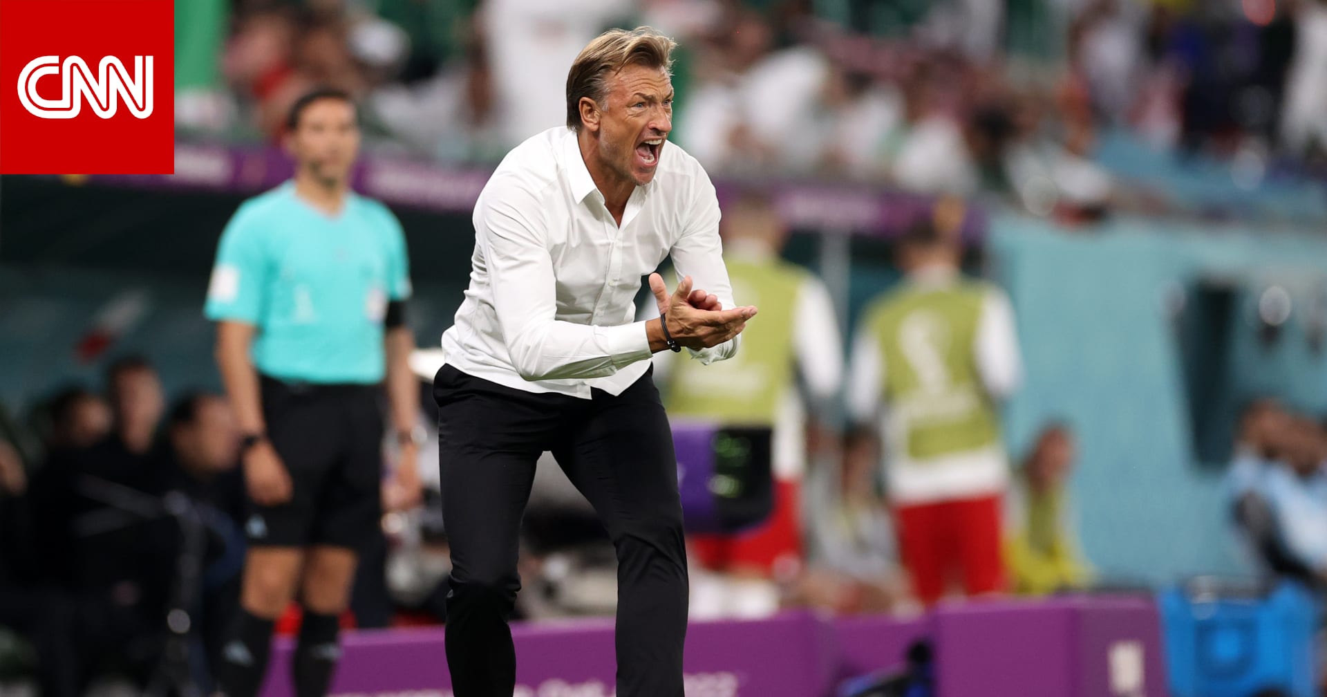 نظرة على أرقام رينارد مع المنتخب السعودي بعد رحيله عن منصبه