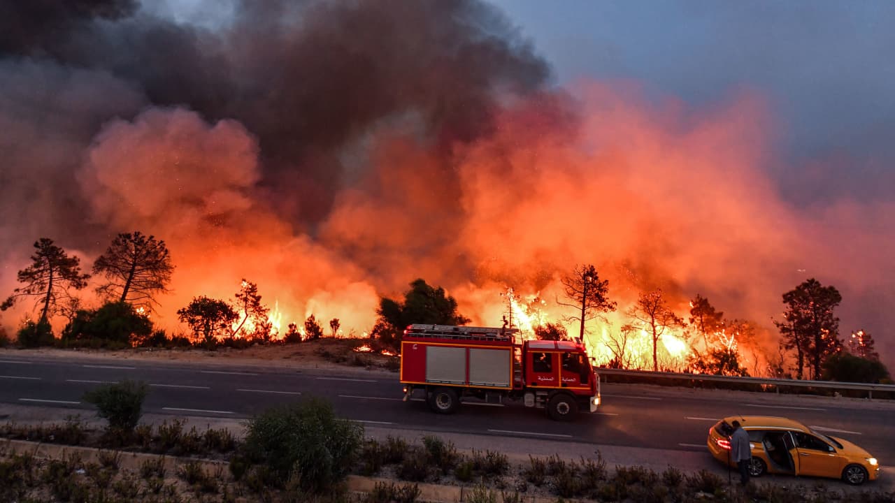 الجزائر تعلن السيطرة على حرائق الغابات