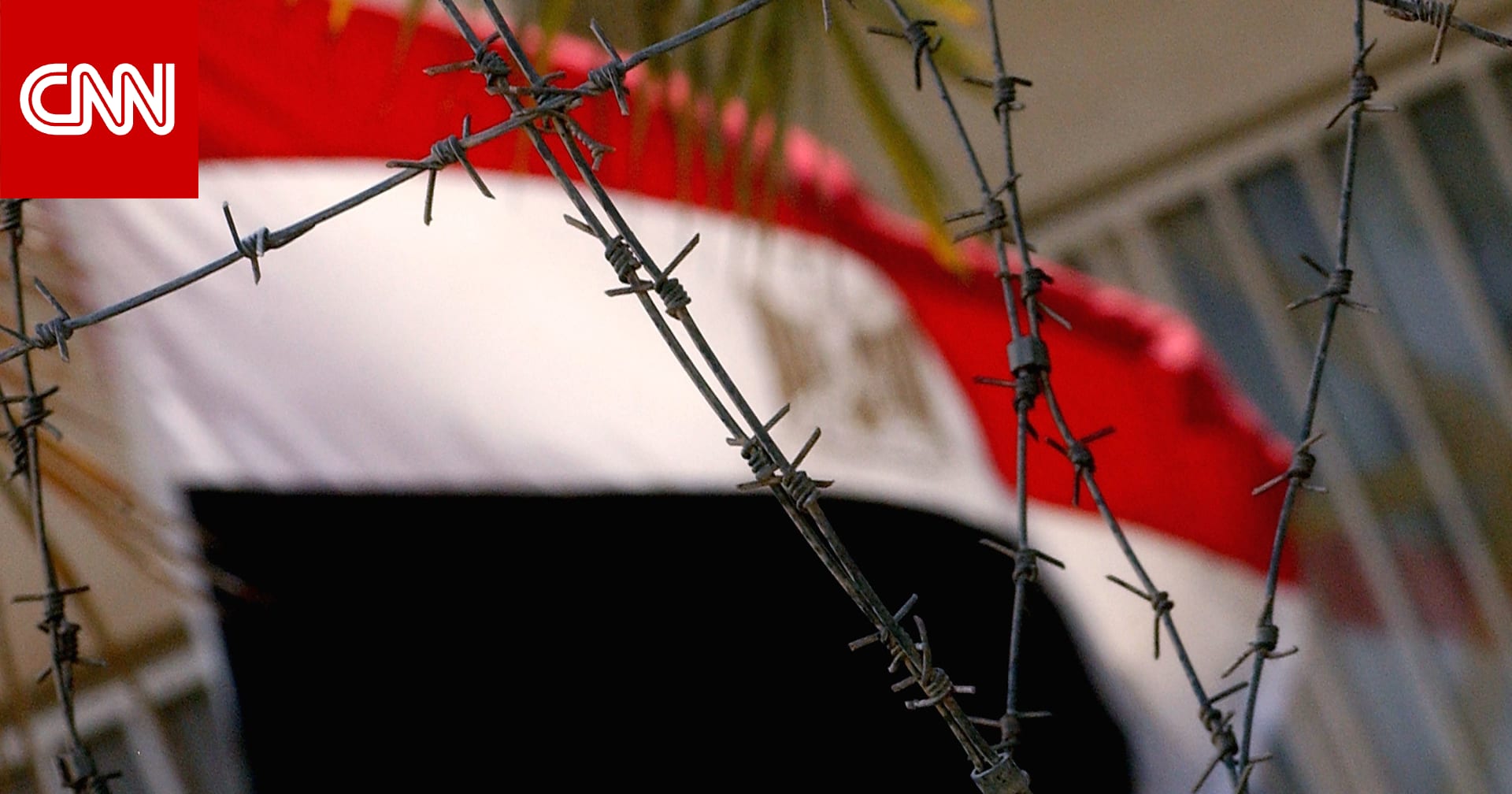 "الحرب على مصر والسيسي بدأت".. إعلامي مصري يشعل تفاعلا بتصريح