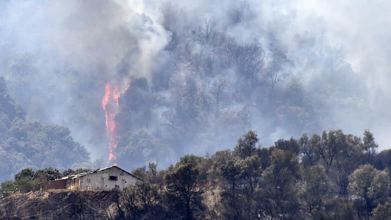 الجزائر تكافح النيران.. وعلماء يحذرون من تحول منطقة البحر المتوسط إلى بؤرة حرائق غابات