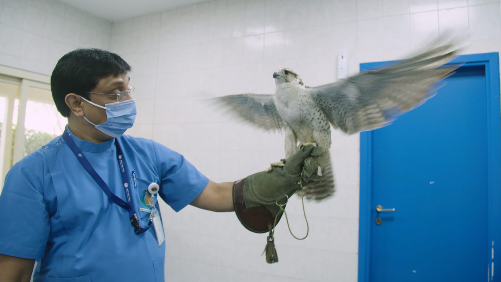 يستقبل 11 ألف مريض سنويًا لكنهم ليسوا من البشر.. ما سر هذا المستشفى بأبوظبي؟