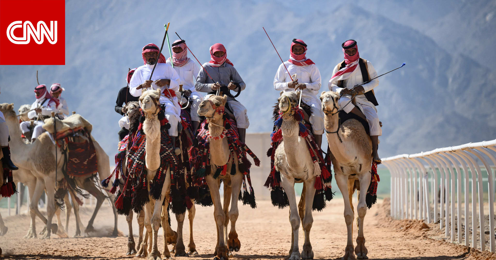 السعودية.. نادي الإبل يفرض غرامة 5 ملايين ريال على مشارك ويوضح السبب 