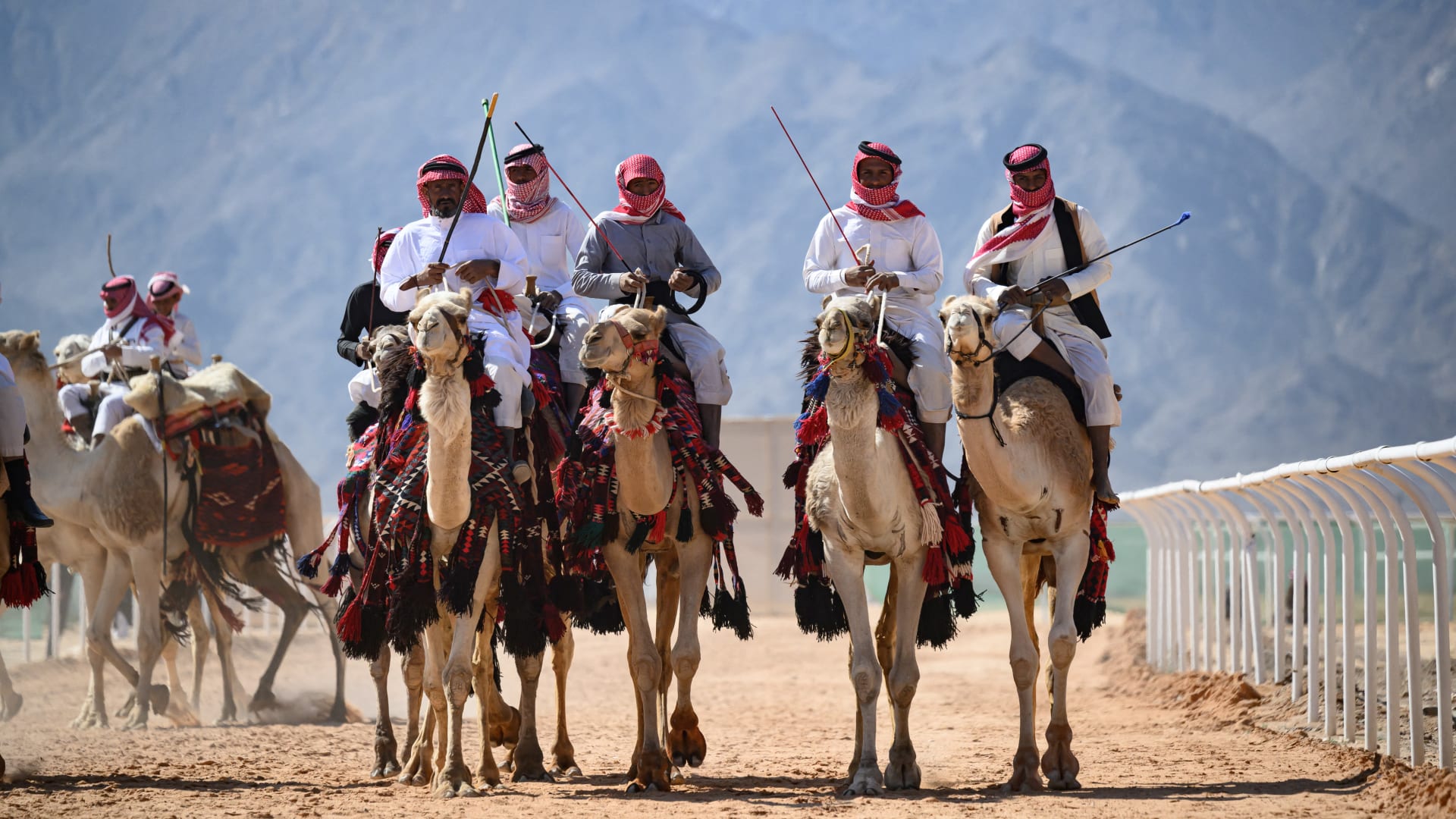 السعودية.. نادي الإبل يفرض غرامة 5 ملايين ريال على مشارك ويوضح السبب