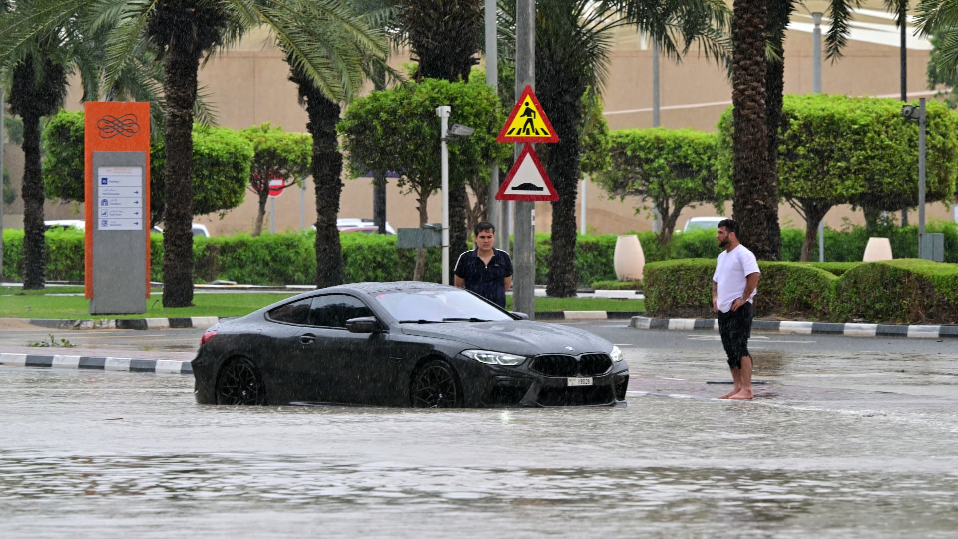 تعلقت بسيارة هربًا.. شاهد لحظة إنقاذ قطة عالقة وسط مياه الأمطار في دبي