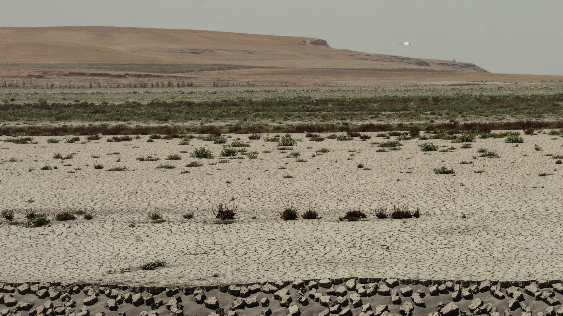 إيران تلجأ لتلقيح السحب وسط جفاف تاريخي لم تشهده البلاد منذ 50 عامًا