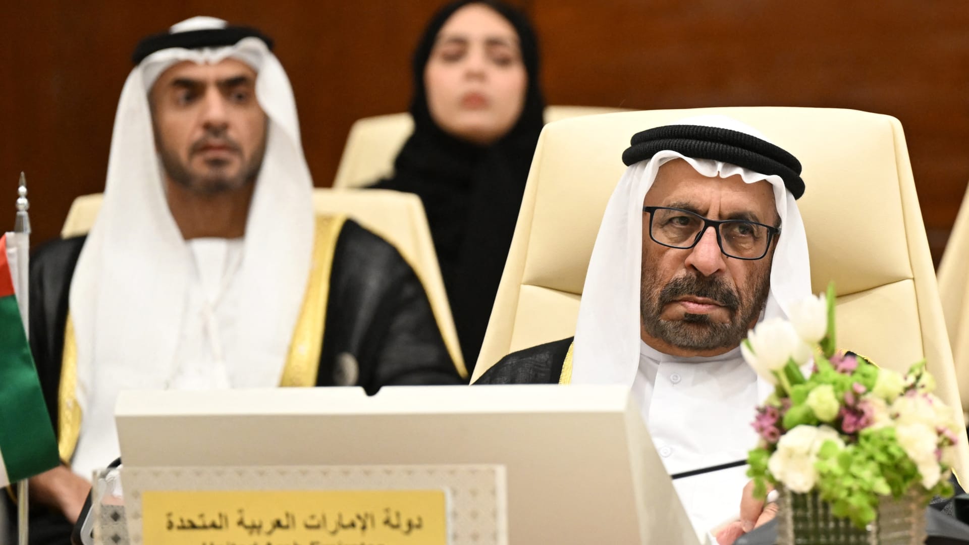 وزير إماراتي: الدولة ستطالب بحقها جراء الاعتداءات الإيرانية ومحاولة فرض رسوم على مضيق هرمز "قرصنة"