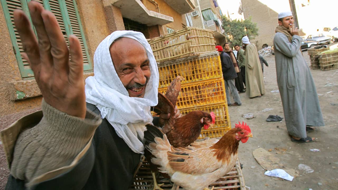 "جواز الطيور بالأضحية".. أستاذ فقه بالأزهر يشعل ضجة.. وهذا رأي دار الإفتاء بمصر