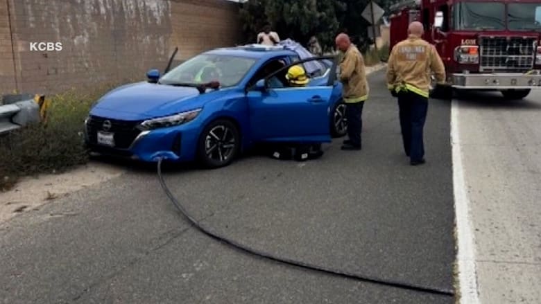 عمود طائش كاد ينهي حياة سائقة بعد اختراق سيارتها ليستقر بجسدها.. إليكم ما حدث