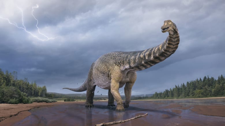 تأكيد اكتشاف أكبر ديناصور في أستراليا وواحدًا من الأكبر في العالم