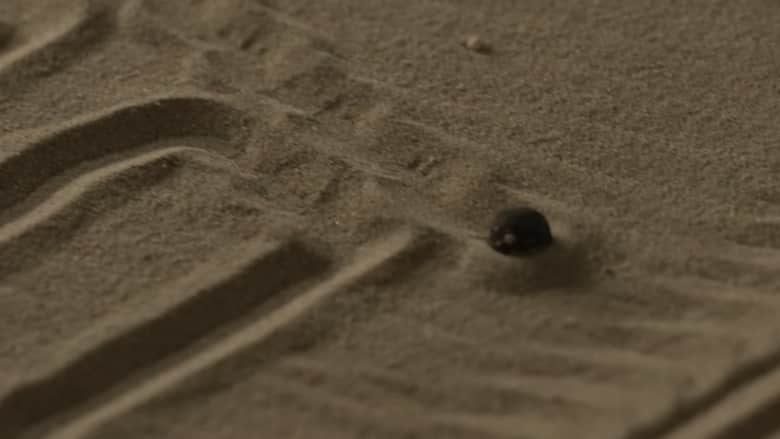 في قطر.. شاهد كرة فولاذية ترسم لوحة فنية في الرمال باستخدام المغناطيس